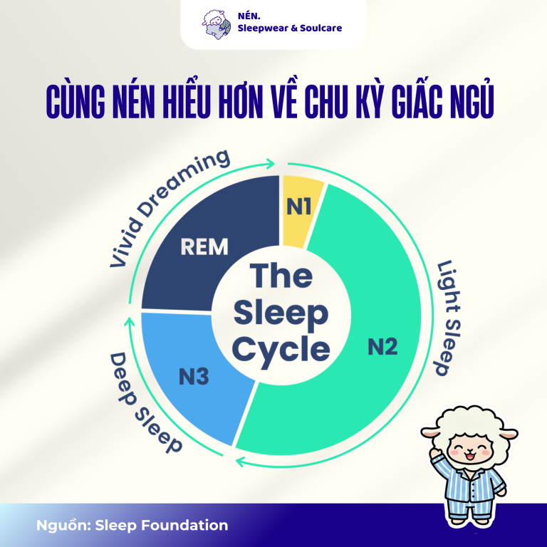 Tại sao ngủ đủ 8 tiếng mà vẫn mệt mỏi? Hướng dẫn chi tiết về chu kỳ giấc ngủ và cách tối ưu hóa để thức dậy tràn đầy năng lượng