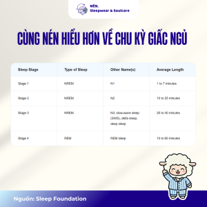 Chu kỳ giấc ngủ