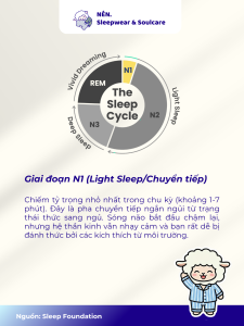 Chu kỳ giấc ngủ