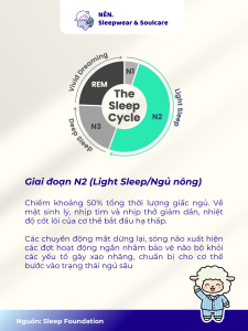 Chu kỳ giấc ngủ