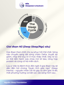 Chu kỳ giấc ngủ