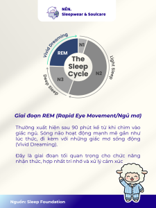 Chu kỳ giấc ngủ